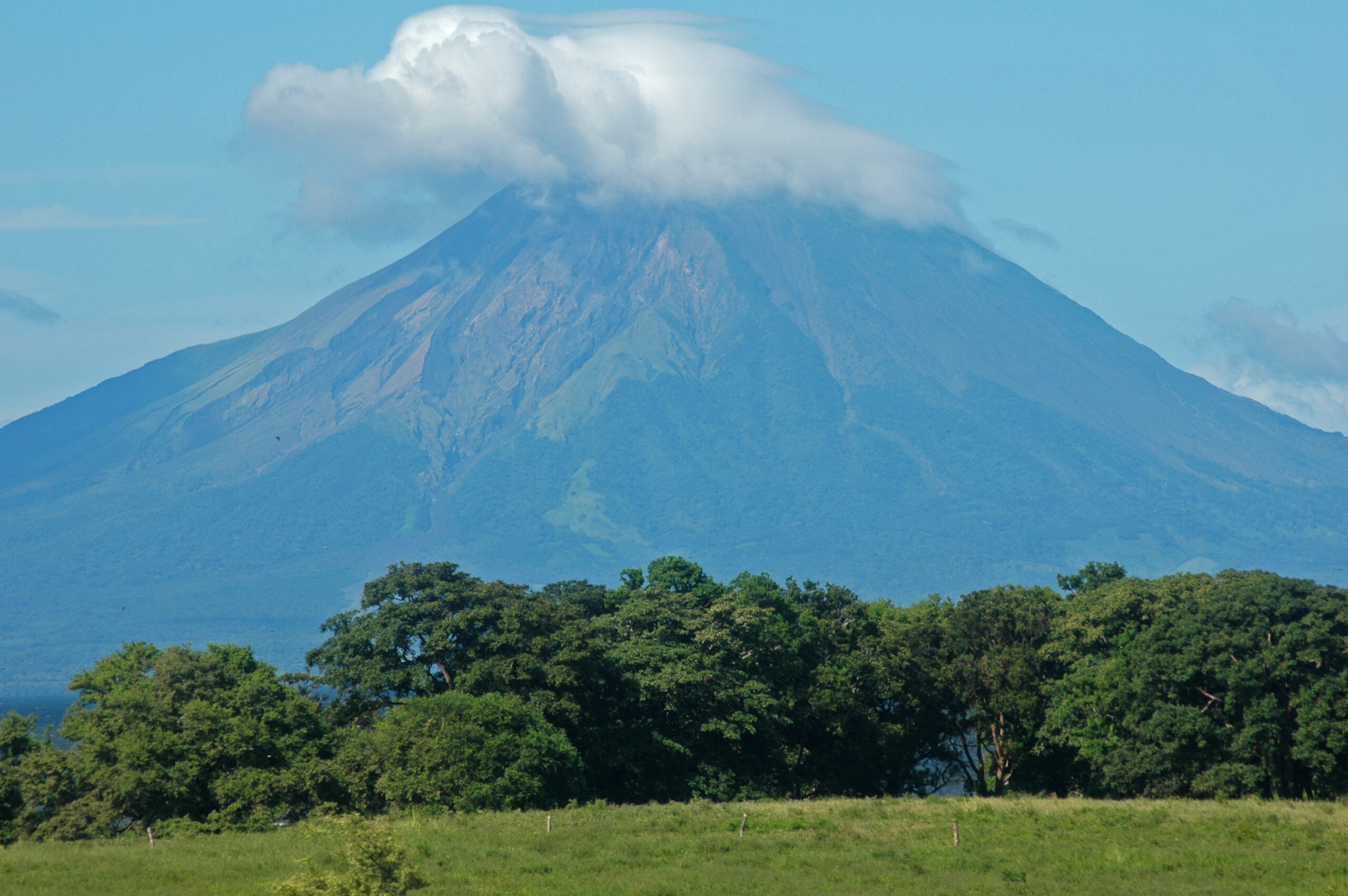 Bitfinex CTO Says El Salvador’s Bitcoin Bonds Will Launch This Summer – But There’s a Twist