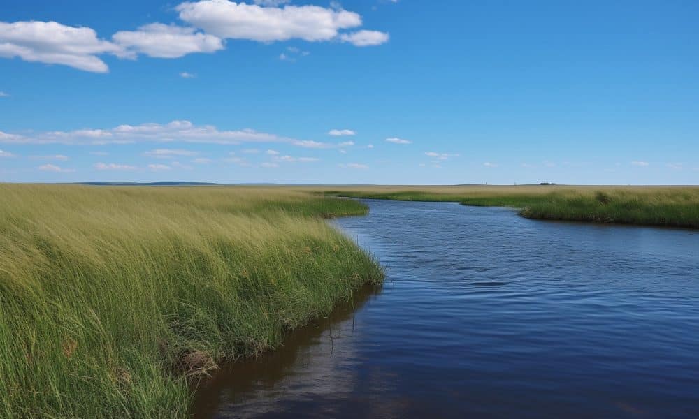 Analysis8 hours ago
																															
															Why LINK could give investors a run for their money in the coming days
															Chainlink continued to bounce between the $7-$7.6 levels over the past two weeks, and neither the bulls nor the bears had the strength to drive prices…