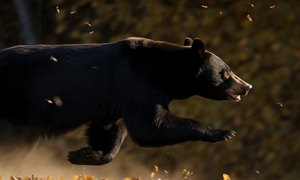 Analysis11 hours ago
																															
															BNB bears forced to retreat as prices climb past $250
															Demand behind Binance Coin began to pick up over the past 24 hours as Bitcoin prices raced higher.