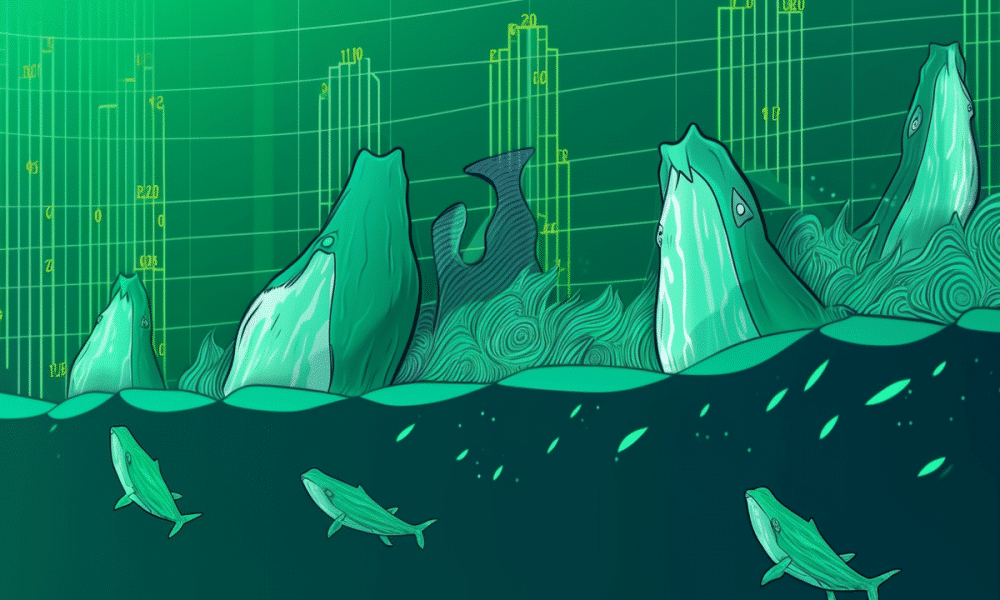 Bitcoin: Whale accumulation raises hopes of bull rally