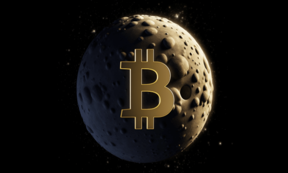 Bitcoin dominance reaches 50% for first time in 2 years