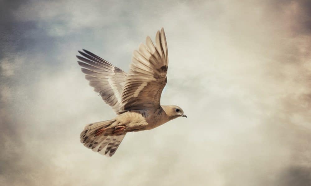 Ethereum bulls can force a rally to $2000, but…