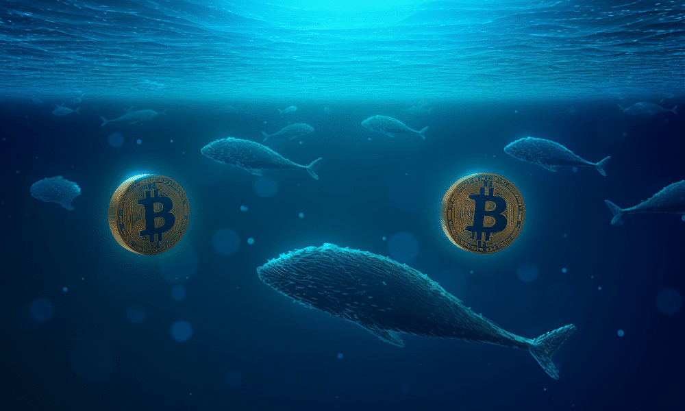 Bitcoin: Institutional investors find new opportunity in BTC accumulation