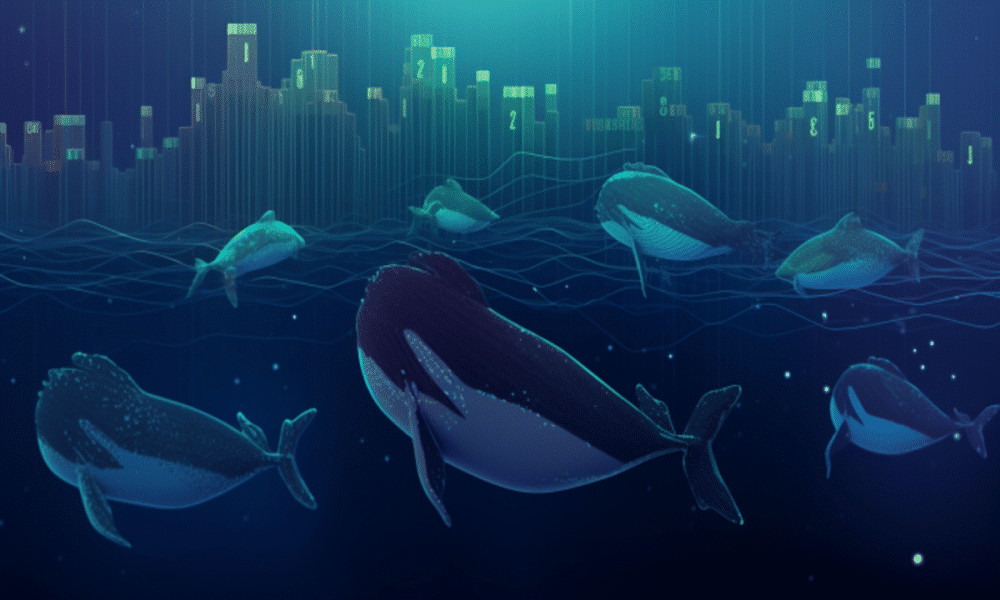 Ethereum: What to expect as whales circle around ETH
